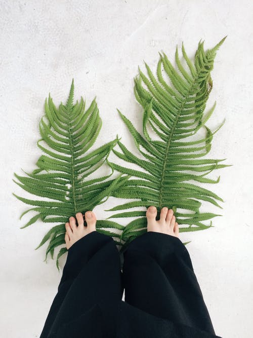 You are currently viewing Best detox for feet