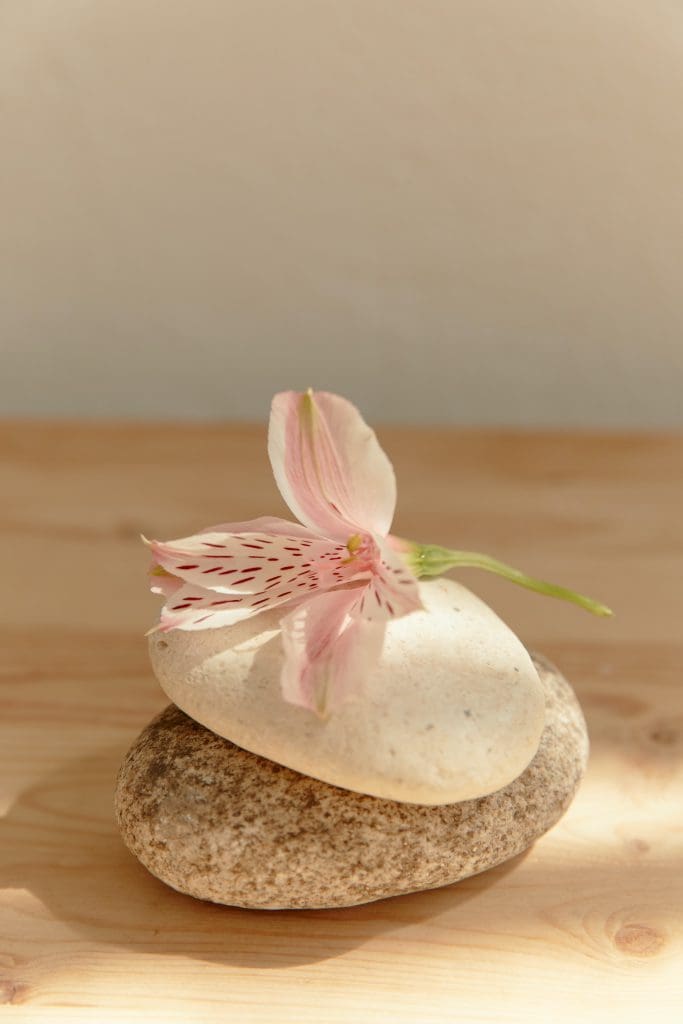womb-massage-fertility