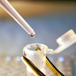 BEST Stem Cell PRP Chicago
